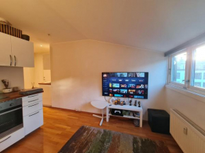 Small, quiet and central studio i Oslo